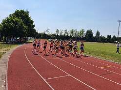 15: 20260524_115952